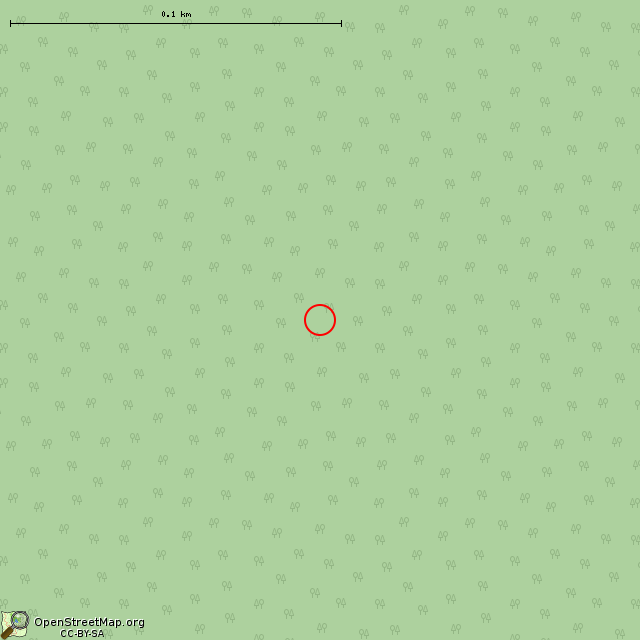 Карта где находится ЛОТ № 011 КингУР в крупном масштабе