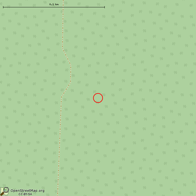 Карта где находится ЛОТ № 010 КингУР в крупном масштабе