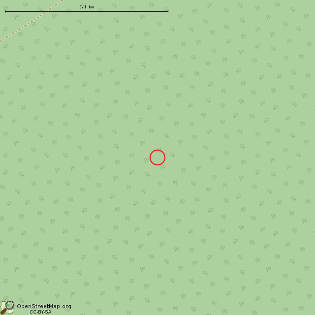 Карта где находится ДОТ № 113 КингУР в крупном масштабе