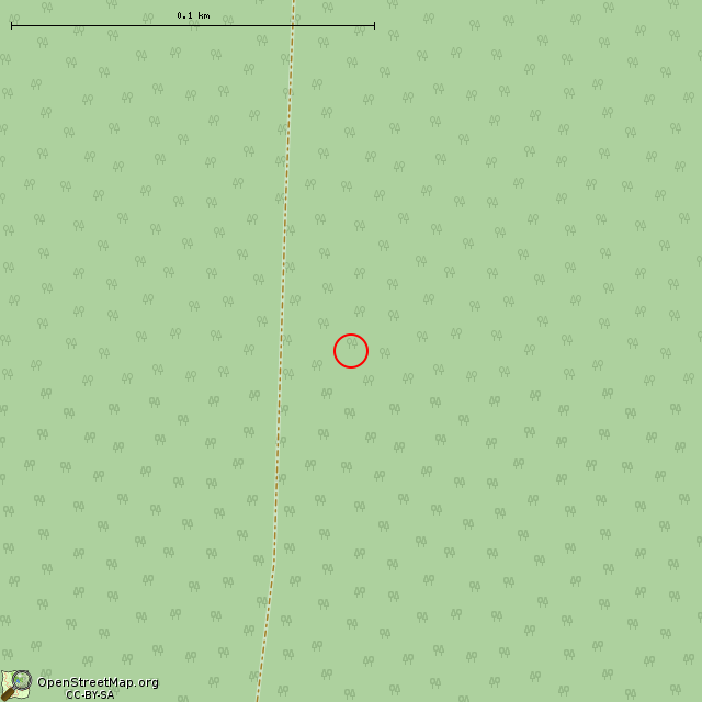 Карта где находится ДОТ № 110 КингУР в крупном масштабе