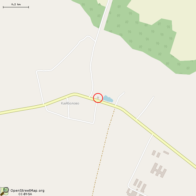 Карта где находится Останки Часовни Анастасии Узорешительницы (Кайболово) в среднем масштабе