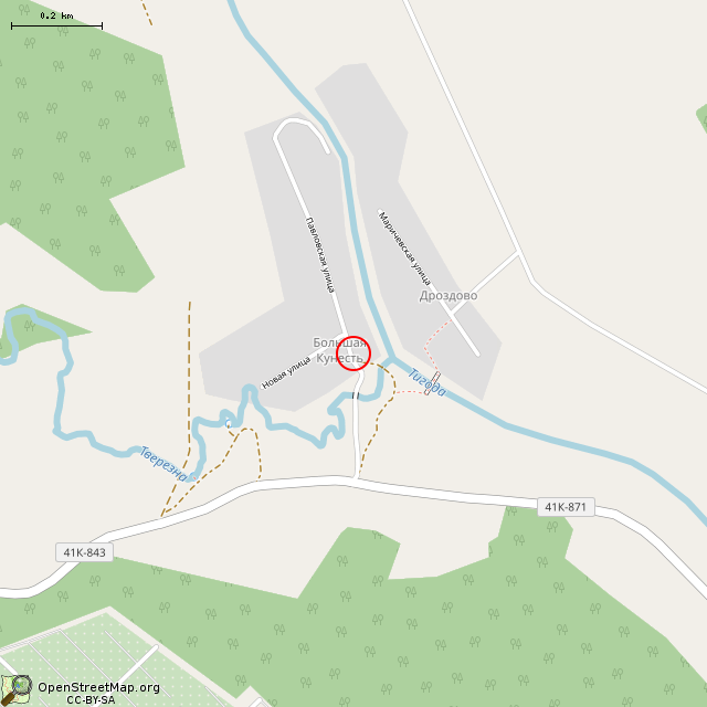 Карта где находится Немецкая двухамбразурная дерево-бетонная огневая точка DU-41 (Большая Кунесть)      | Вторая мировая война, оборонительное сооружение, долговременная огневая точка (дот), военный памятник / мемориал в среднем масштабе