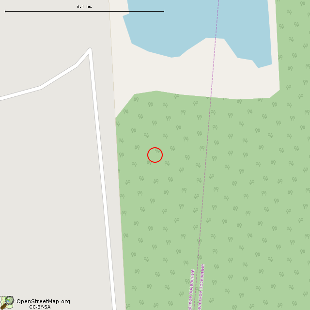 Карта где находится Памятник на месте падения самолета в крупном масштабе