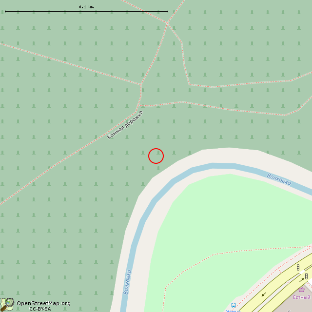 Карта где находится ЖБОТ X-13 ЛенУР (Санкт-Петербург) в крупном масштабе