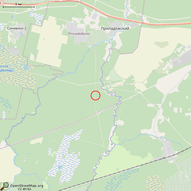Карта где находится Памятный знак на месте нахождения останков (Приладожское городское поселение) в мелком масштабе