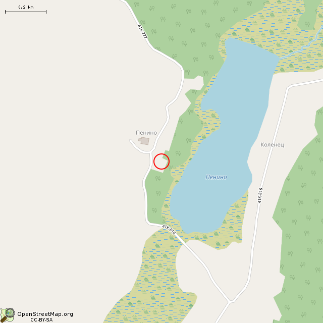 Карта где находится Часовня св. мц. Параскевы Пятницы со святым источником (Пенино) в среднем масштабе