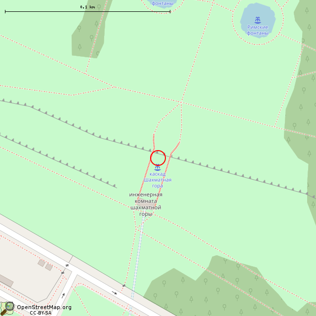Карта где находится Каскад Драконов («Шахматная гора») (Санкт-Петербург) в крупном масштабе
