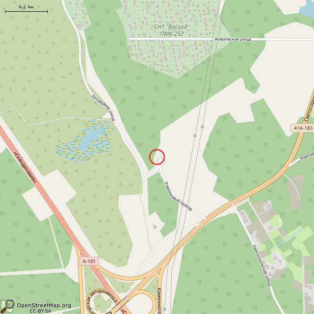 Карта где находится Родник (Выборг) в среднем масштабе