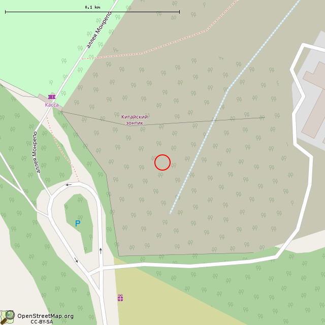 Карта где находится Камень Китайского зонтика (Выборг) в крупном масштабе