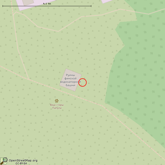 Карта где находится Чаша (Выборг) в крупном масштабе