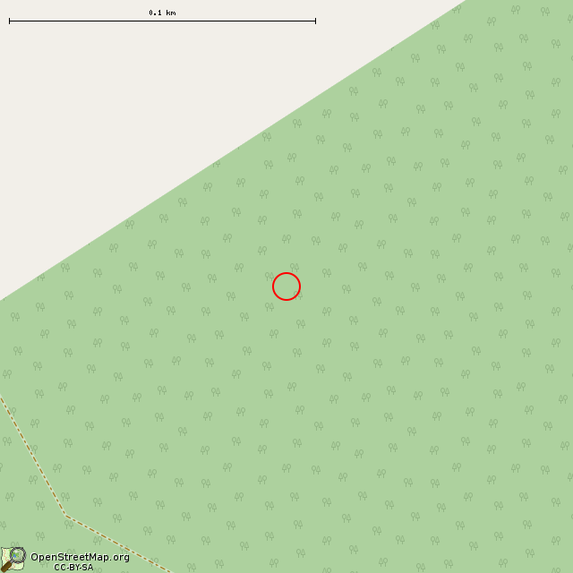 Карта где находится ДОТ 25 в крупном масштабе