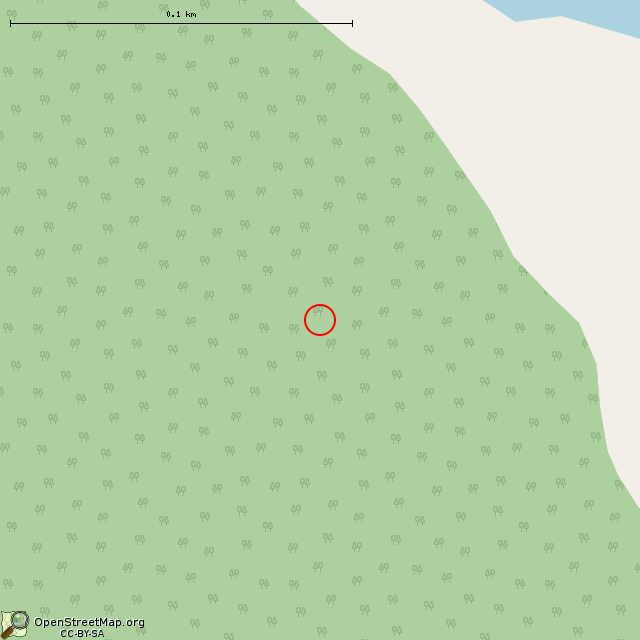 Карта где находится Зоринское укрепление в крупном масштабе