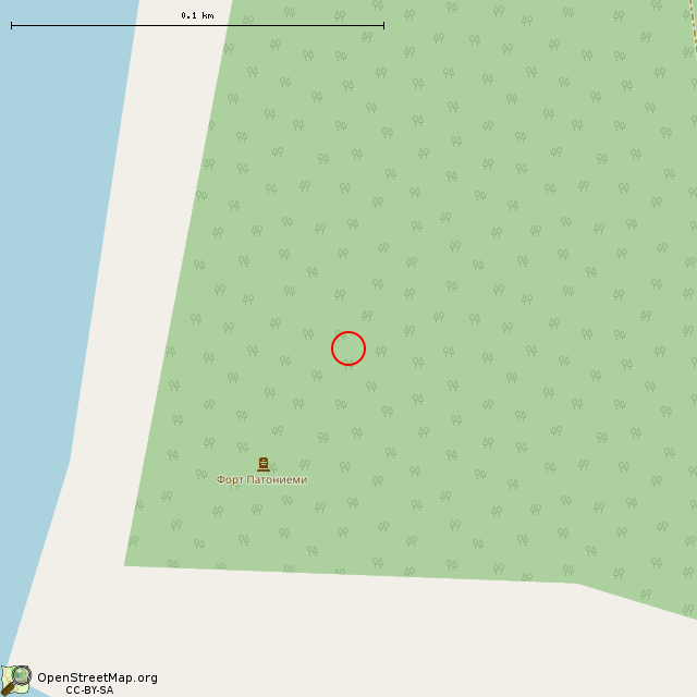 Карта где находится Артиллерийский форт Патониеми в крупном масштабе