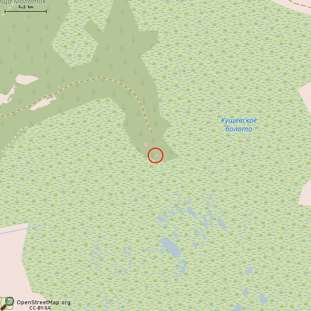 Карта где находится Дот SJ 11 линии Маннергейма в среднем масштабе