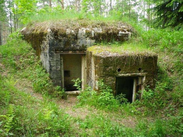 Дот это. Карельский укрепрайон доты дзоты. Дзоты второй мировой войны. ДОТ № 910 Каур. Дзоты в Кингисеппе.