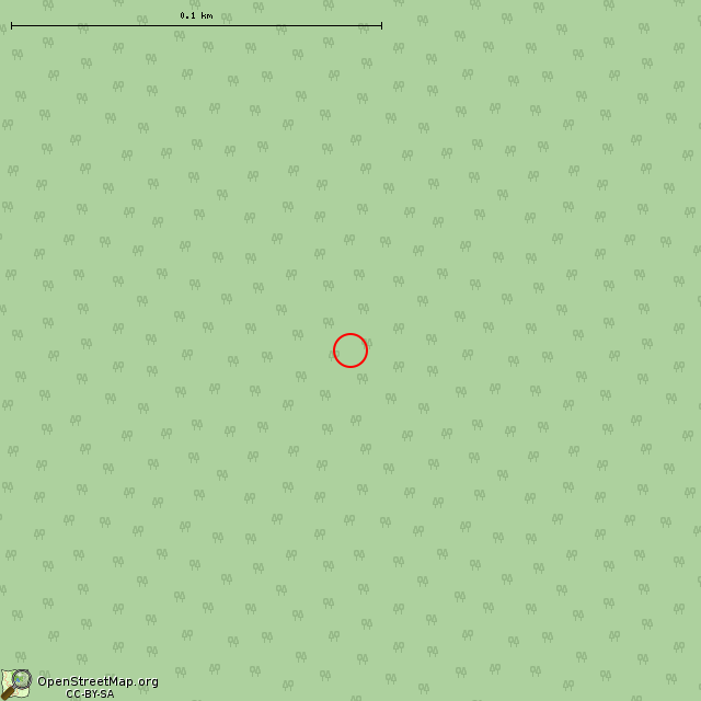 Карта где находится Остатки финской казармы в крупном масштабе