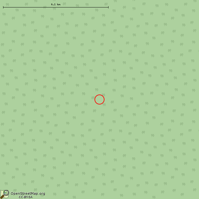 Карта где находится Дворик №4 254-мм орудия батареи Сааренпя в крупном масштабе