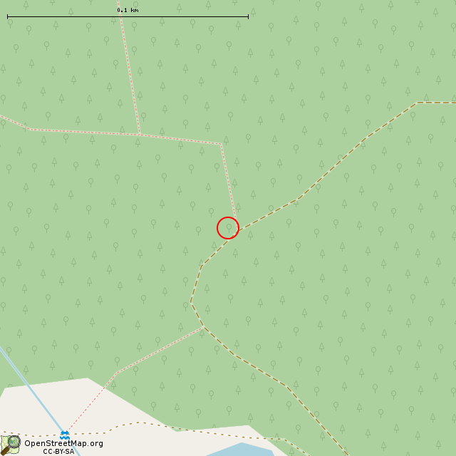 Карта где находится Финский ДОТ в крупном масштабе