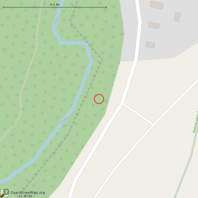 Карта где находится Родник в крупном масштабе