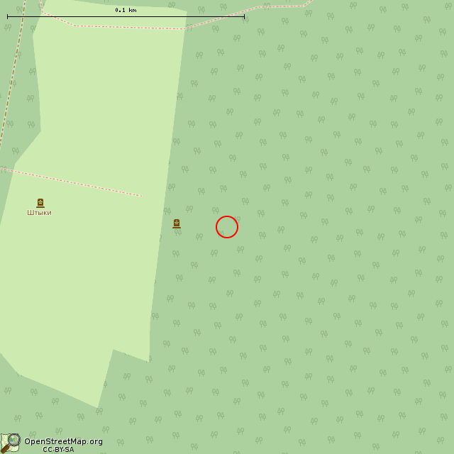 Карта где находится Место гибели майора А. Д. Гарькавого в крупном масштабе