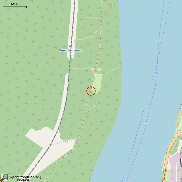 Карта где находится ЖБОТ Не-3, Невский УР в среднем масштабе