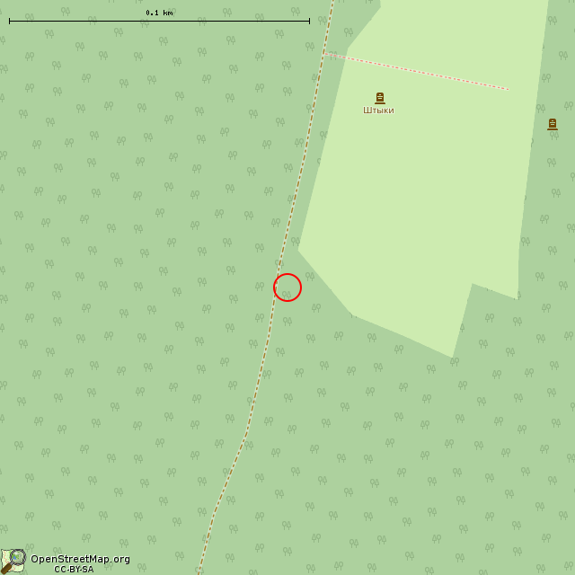 Карта где находится ЖБОТ Не-3, Невский УР в крупном масштабе