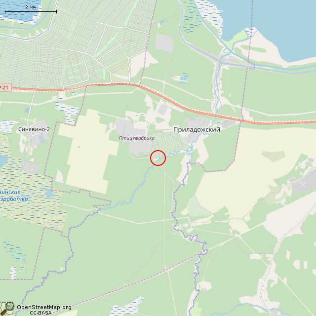 Карта где находится Братская могила военных железнодорожников (Приладожское городское поселение) в мелком масштабе