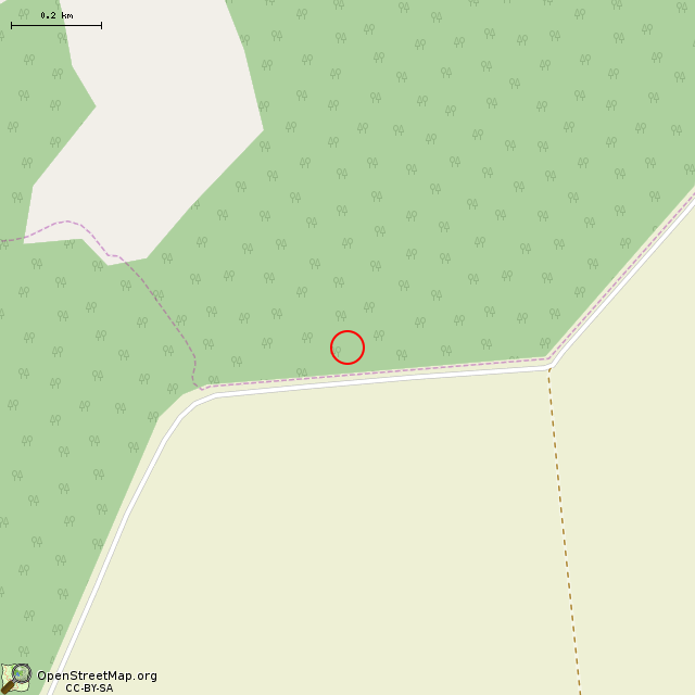 Карта где находится ЖБОТ (Приладожское городское поселение) в среднем масштабе