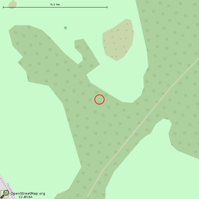 Карта где находится Камень, оставшийся от памятника подвигам Саперного батальона (Санкт-Петербург) в крупном масштабе