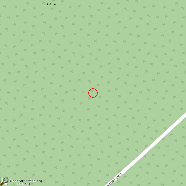 Карта где находится ЖБОТ Си-12 (Приладожское городское поселение) в крупном масштабе