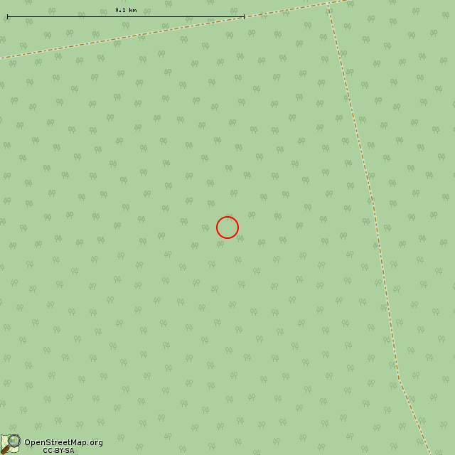 Карта где находится ЖБОТ Си-24 (Приладожское городское поселение) в крупном масштабе