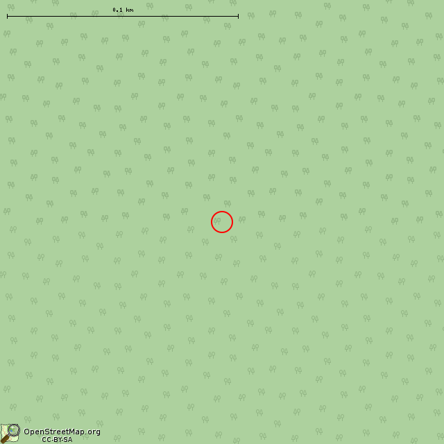Карта где находится ЖБОТ Си-21 (Приладожское городское поселение) в крупном масштабе