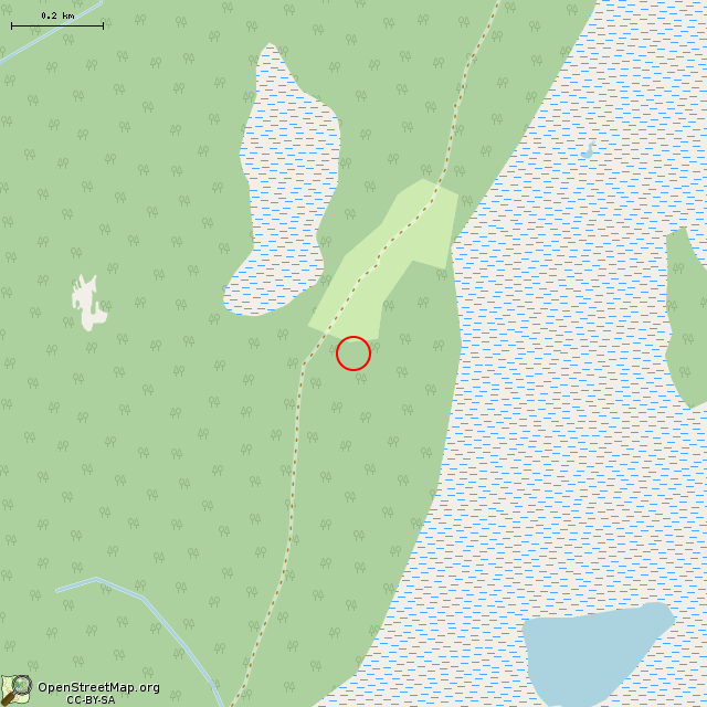 Карта где находится Комплекс военных памятников в районе высоты 43,5 в среднем масштабе