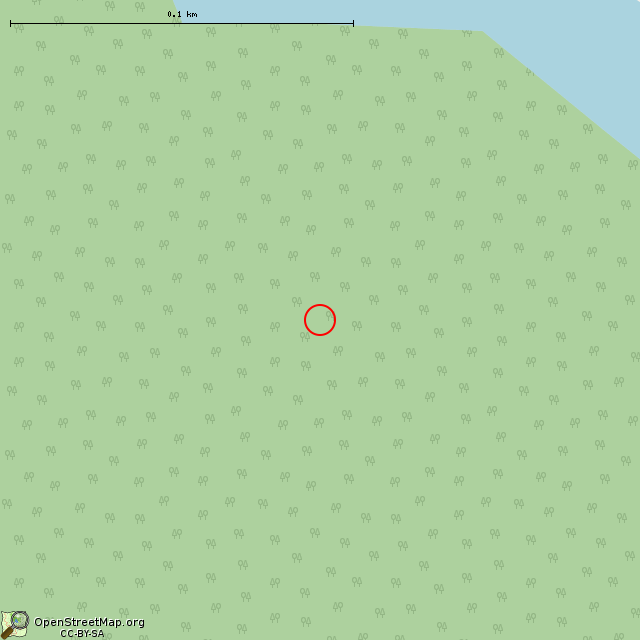 Карта где находится Памятник финскому солдату в крупном масштабе