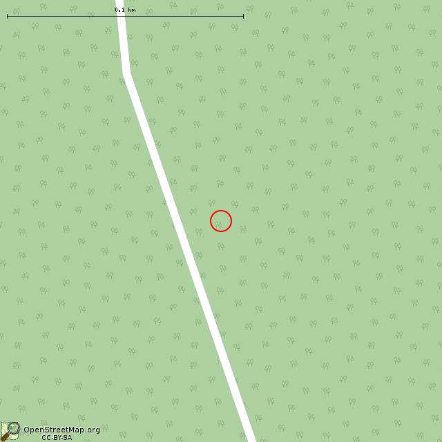 Карта где находится Памятник С.Ю. Силенко в крупном масштабе