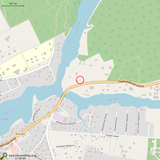 Карта где находится Памятник В. И. Ленину (Рощино)      | памятник, монумент, Ленин в среднем масштабе