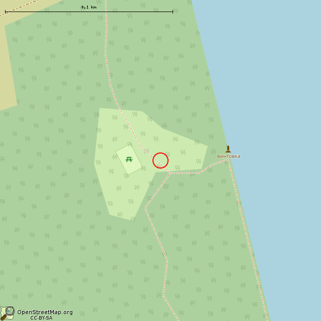 Карта где находится Памятный знак «Винтовка» и братская могила советских воинов в крупном масштабе