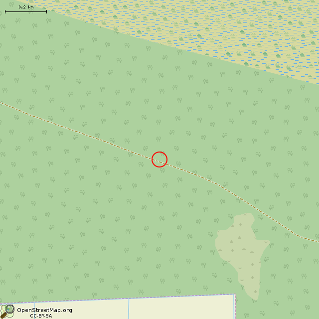 Карта где находится Берёзовый крест недалеко от бывшего Рабочего поселка № 7 в среднем масштабе