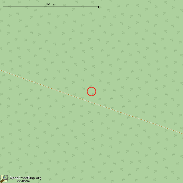 Карта где находится Берёзовый крест недалеко от бывшего Рабочего поселка № 7 в крупном масштабе