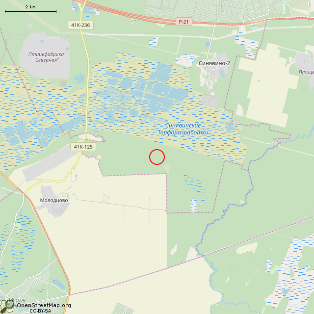 Карта где находится Берёзовый крест недалеко от бывшего Рабочего поселка № 7 в мелком масштабе