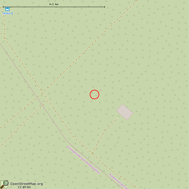 Карта где находится Руины советской погранзаставы в крупном масштабе