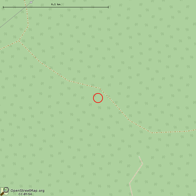 Карта где находится Гроты (Выборг) в крупном масштабе