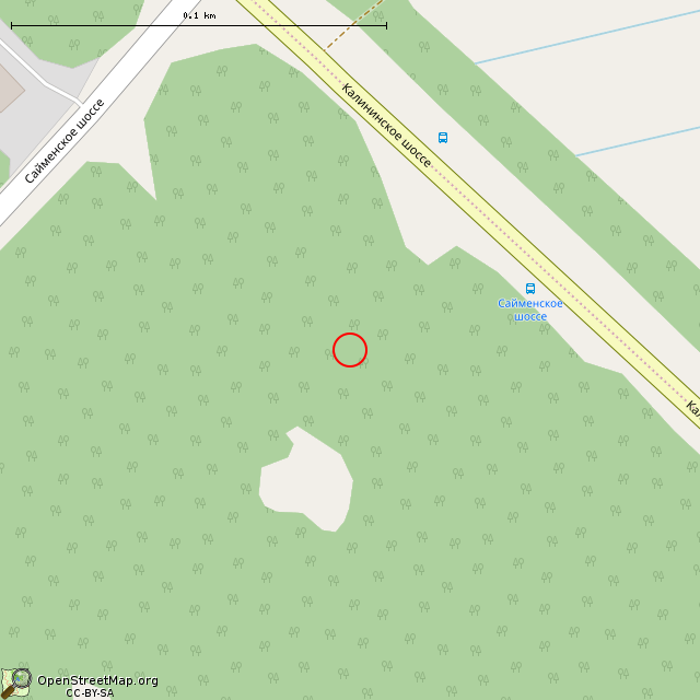 Карта где находится ОП на высотке (Выборг) в крупном масштабе