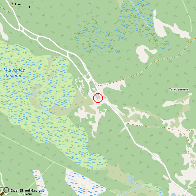 Карта где находится Старая РЛС в среднем масштабе