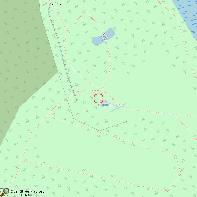 Карта где находится Источник «Нарцисс» (Выборг) в крупном масштабе
