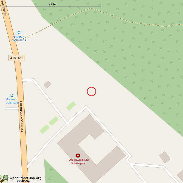 Карта где находится Гипсовая скульптура рыси (Выборг) в крупном масштабе
