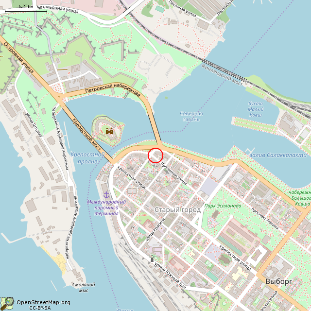 Карта где находится Дом Хенрика Вильгельма Ладо (Выборг) в среднем масштабе