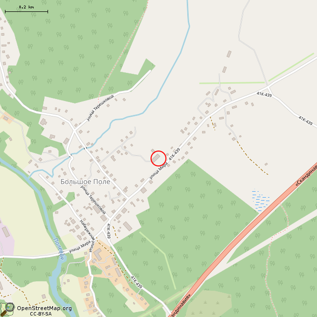 Карта где находится Бывшая школа (Большое Поле) в среднем масштабе