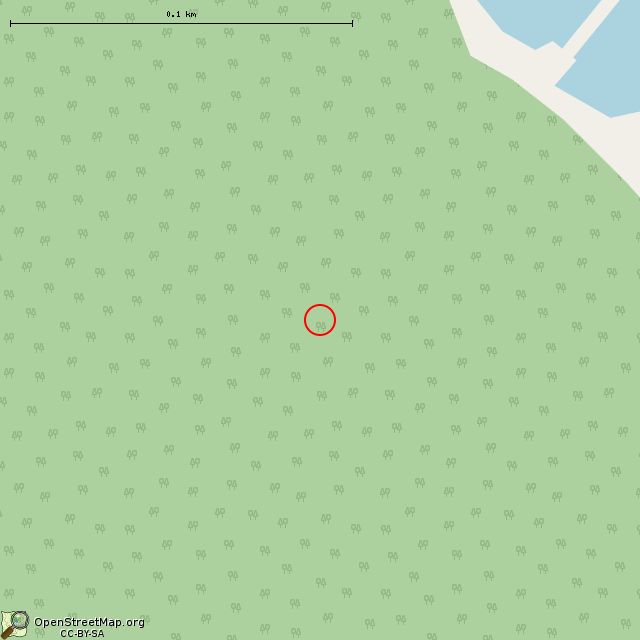 Карта где находится Пехотное укрытие     | заброшенный, неиспользуемый объект, оборонительное сооружение в крупном масштабе