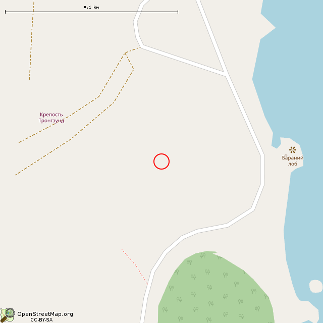 Карта где находится Южная батарея (Высоцк) в крупном масштабе